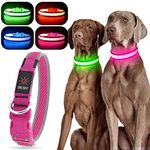 YFbrite Light up Dog Collar, Rechargeable LED Dog Collar, Waterproof Dog Collar Light, Adjustable Reflective Flashing Dog Collar Glowing at Night (Pink, Medium)