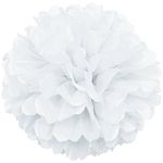 Lightingsky 10pcs Tissue Paper Pom Poms DIY Decorative Flowers Ball Perfect for Party Wedding Home Outdoor Decoration (White, 10 inch)