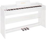 WENCAI 88 Key Fully Weighted Digita