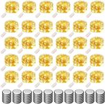 30 Pack Led Fairy Lights Battery Op