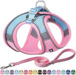 AIITLE Step in Dog Harness and Leash Set - No Pull Escape Proof Vest Harness with Soft Mesh and Reflective Bands, Adjustable Pet Outdoor Harnesses for Small and Medium Dogs Pink M