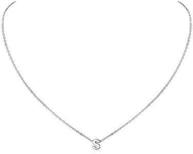 ChicSilver