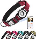 ilFindYou Reflective Dog Collar wit