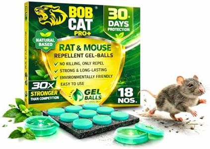 Bob Cat Ra