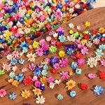 900 PCS Small Dried Flowers for Cra