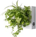 Ortisgreen HOH, Indoor and Outdoor Wall Mount Hanging Multi Plant Pot In White (ABS Plastic) with Natural Substrate and Instruction Included, Hanging Garden Wall Planter