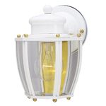 Westinghouse 6696200 One-Light Wall Lantern