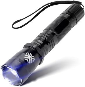 Pain Safari - Tactical Flashlight Rechargeable Stun Gun: Ultra-Light Flashlight for Self-Defense | Aircraft-Grade Aluminum | Pocket-Friendly Compact Design | Bright LED | Free Holster | Rechargeable