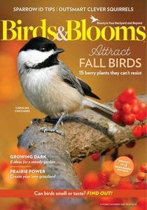 Birds and 