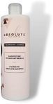 Ab extensions Absolute Shampoo by A