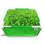 ORGANIC BAZAR 24x18x12 Rectangle Grow Bag with Supporting PVC Pipes for Home Garden | Premium HDPE 350 GSM Raised Bed Planter (Pack of 1)