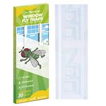 Indoor House Fly Trap