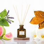 PRISTINE Casa Particular/Inspired by Wyndham Reed Diffuser for Home | Rich Blend of Tobacco Leaves, Sweetness of Guava Reed Diffuser Set, Oil & Reed Diffuser Sticks-Home & Office Decor-Fragrance Gift