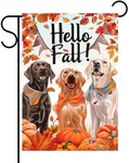 Hello Fall Dog Garden Flag 12 x 18 Three Dogs With Maple Leaves and Pumpkin in Autumn Vertical Double Sided Yard Flags For Outside Decorations