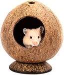 QMAAAYS Hamster House, Coconut Shell Bird House Small Pet Habitat, Tropical Style, 12 * 12 * 13.5CM