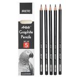 BRUSTRO Artist's Graphite Pencil set | Set of 5 (2B, 4B, 6B, 8B, 10B) | Pre Sharpened, Lightweight, Break-resistant, Ideal for Students and Adults, Students, Professional Drawing,Sketching,Mandala Art