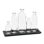 Creative Co-Op Black Wood Tray with Glass Bottle Vases, Set of 5 Sizes