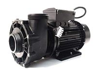 LX WP200-II - 2 Speed, 2 Hp, Spa & Hot Tub Pump from Hydrospares