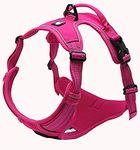 TrueLove Dog Harness TLH5651 No-pull Reflective Stitching Ensure Night Visibility, Outdoor Adventure Big Dog Harness Perfect Match Puppy Vest (S, Fushcia)