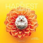 Graphique 2024 Happiest Hedgehogs W