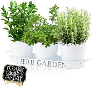 Indoor Herb Garden Planter Set of 3 with Tray, Modern Decorative Herb Garden Planter Indoor Kit for Kitchen Window Sill or Countertop, Grow Fresh Herbs at Home