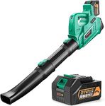 Most Powerful Electric Leaf Blower