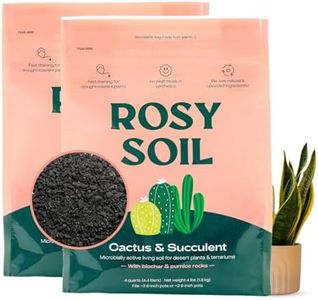 Rosy Soil 