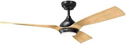 reiga Ceiling Fans with Lights and 