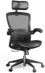 FLEXISPOT OC3 Pro Ergonomic Office Chair High Back Computer Chair with Flip-up Armrest/8-Level Lumbar Support, Breathable Mesh Seat Cushion Backrest, Chairs for Home Office Gaming Working, Black
