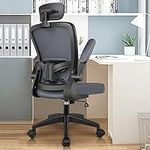 FelixKing Ergonomic Office Chair, H