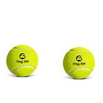 Goofy Tails Tennis Dog Ball Dog Toys | Combo of Tennis Ball for Dog| Non Squeaky Toys for Dogs |Dog Toy Ball| Dog Chew Toys| Balls for Dogs (Light Green, Pack of 2)