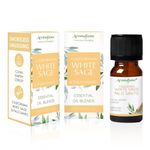 White Sage & Palo Santo Essential Oil Diffuser Blend by Aromafume | 3x10ml/0.33 fl oz | Aromatherapy Oil for Cleansing Negative Energy & Protection | Ethically sourced| Sage Oil for Smokeless Smudging