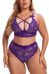 Aranmei Plus Size Lingerie for Women Lace Bra and Panties Set Sexy Bralette Set, 30-32, New Purple, 4XL