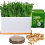 The Cat Ladies Organic Cat Grass Gr