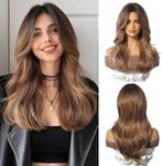 Esmee Long Layered Straight Brown Wigs for Women Natuaral Synthetic Hair Heat Resistant Ombre Wig for Daily Party Cosplay Use