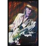 Stevie Ray Vaughan - Domestic Poste