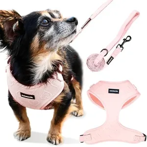 JoyCrafted-FBL No Pull No Choke Dog Harness & Dog Leash - Pink, Blue, Green Heart Design, Lightweight Breathable Neoprene for Extra Small to Medium Sized Dogs - Stylish & Fun for All Breeds