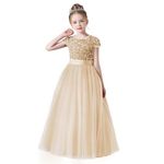 Flower Girls Dresses Champagne Formal Floor Length Princess Tulle Birthday Party Special Occasion Dress Juniors Kids Girl Champagne 8