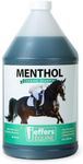 Jeffers Equine Menthol Cooling Horse Shampoo 1 Gallon - 100% Pure Australian Menthol, Coconut Oil, Aloe & Vitamin E - Moisturizing, Deep Cleansing, Gentle Grooming Shampoo for Horses