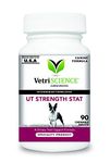 VetriScience Laboratories - UT Strength STAT for Dogs, Urinary Tract Support Supplement for Dogs, 90 Chewable Tablets