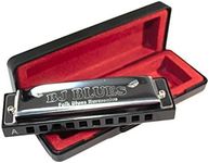 BJ Blues 281520 Folk Blues 10-Hole 
