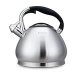 Easyworkz Whistling Stovetop 3l Tea