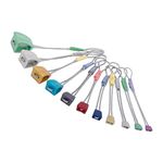 Dmm Wallnut Set 1-11 Assorted