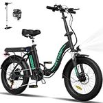 HITWAY Electric Bike for Adults, 20" Fat Tire E Bike 750W 20MPH Removable Folding Electric Bike, 48V/14Ah Battery 55-120KM, Mountain Bike Snow Beach Bicycle with 7 Gears