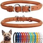 CollarDirect Rolled Leather Dog Collar, Soft Padded Round Puppy Collar, Handmade Genuine Leather Collar Dog Small Large Cat Collars 13 Colors (8-11 Inch, Cinnamon Textured)