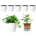 T4U 4 Inch Self Watering Pots for Indoor Plants, 6 Pack White Plastic Flower Pots for All House Plants, Flowers, African Violets