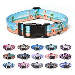 Suredoo Adjustable Nylon Dog Collar with Patterns, Soft Comfy Pet Collar for Small Medium Large Dogs (M, Summer Beach)