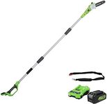 Greenworks 24V Pole Saw 20cm Chains