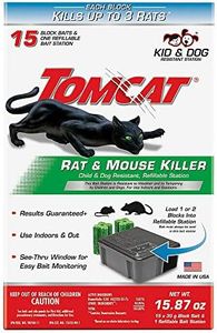 Tomcat Rat