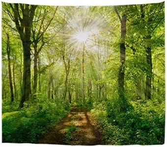 A.Monamour Bright Sunbeams Through Beech Trees Forest Footpath Road Nature Scenery Picture Print Cloth Fabric Wall Hanging Tapestry Wall Art Decors Table Cloth Bedspread Bedsheet